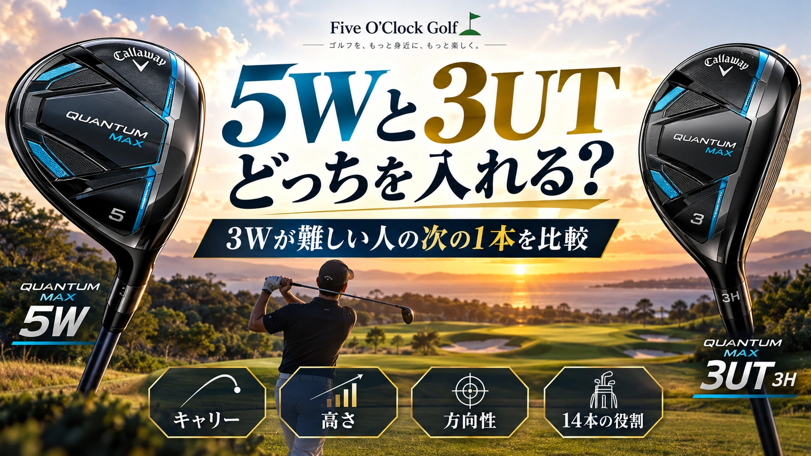 5Wと3UTの打ち出し角、最高到達点、落下角、スピン量、着弾の散らばりを表した模式図